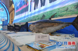 冬交会看馆说三沙 展示祖国最南端的海产品与场地勘测